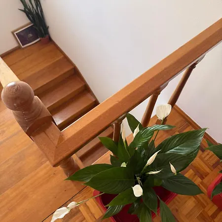 Cool Cats House Дом отдыха *