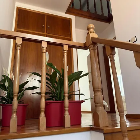 Cool Cats House Дом отдыха Феррел